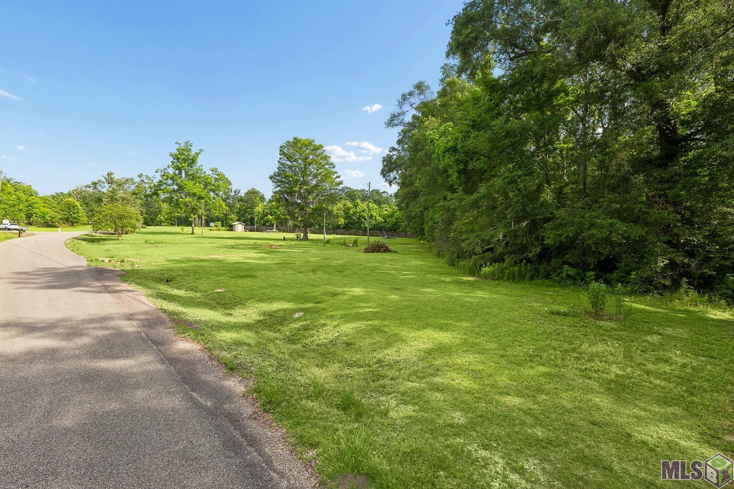 12246 Peter Bourgeois Road St. Amant, LA 70774 - Photo 3 of 21