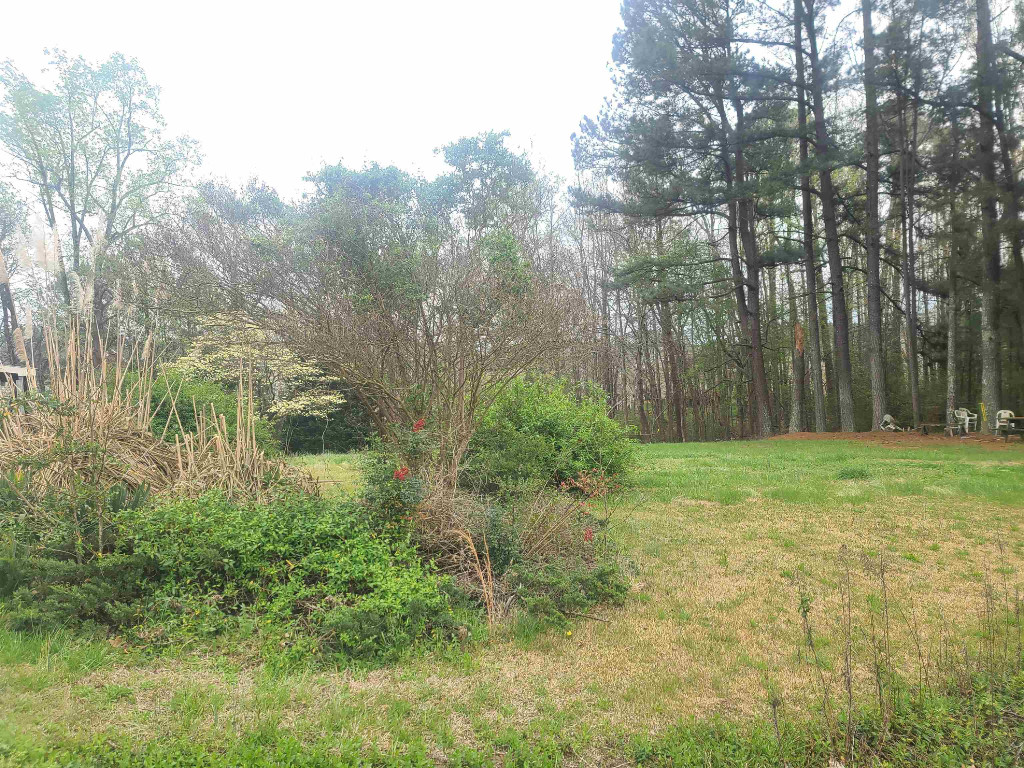 1432 Jenks Carpenter Road Cary, NC 27519 - Photo 9 of 33 Gallery Image 9