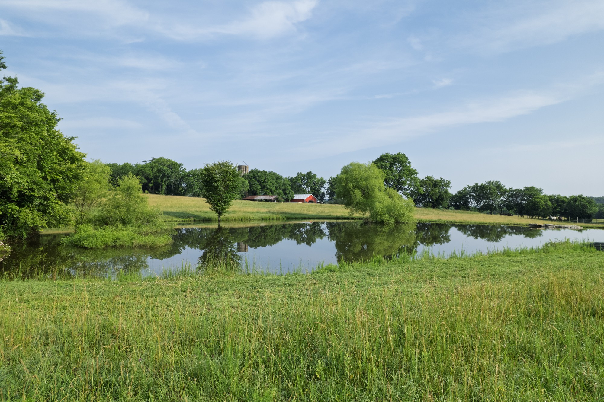6180 Southeast Tater Peeler Road Lebanon, TN 37090 - Photo 14 of 41 a view of a lake view with a big yard