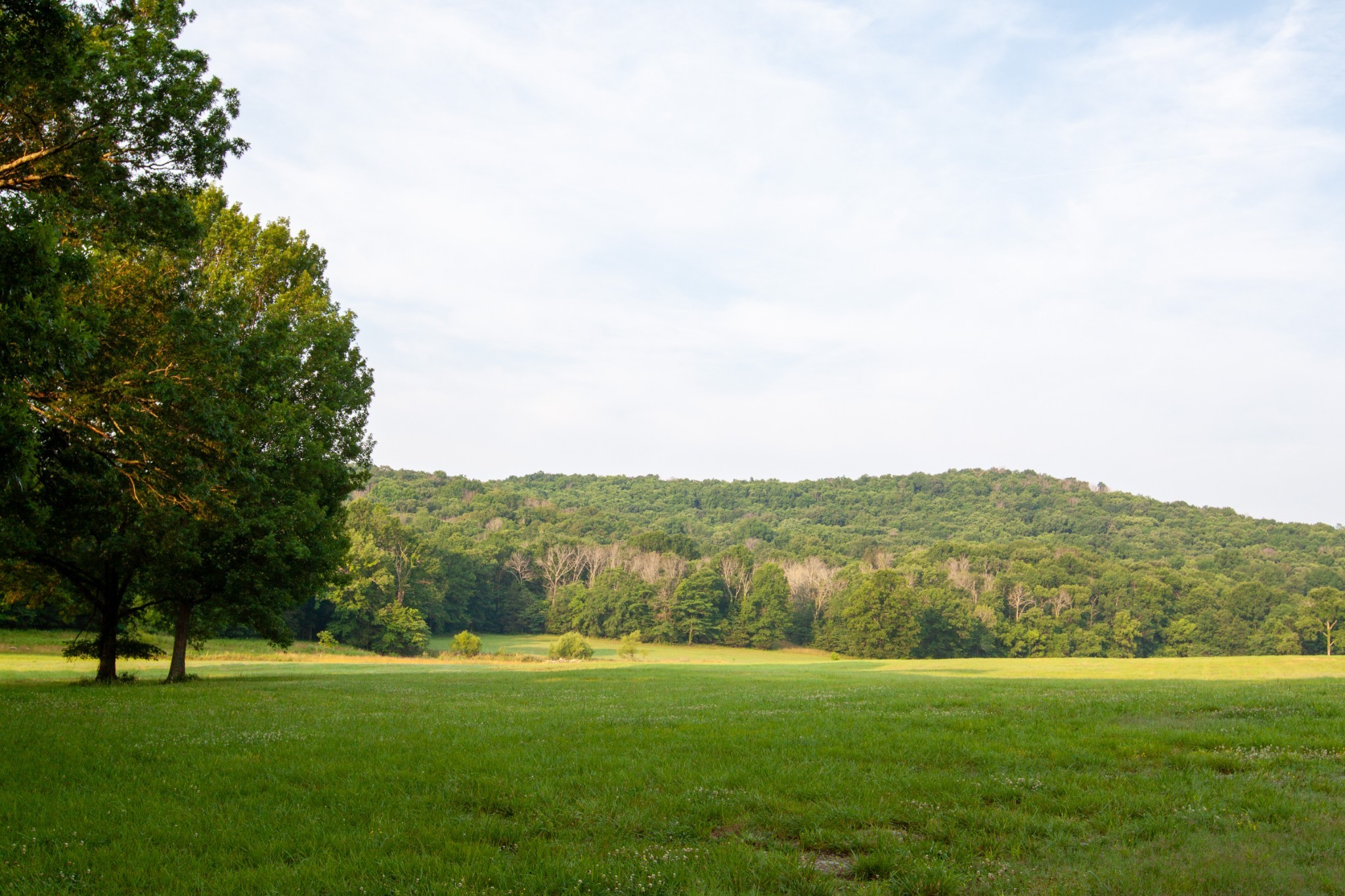 6180 Southeast Tater Peeler Road Lebanon, TN 37090 - Photo 15 of 41