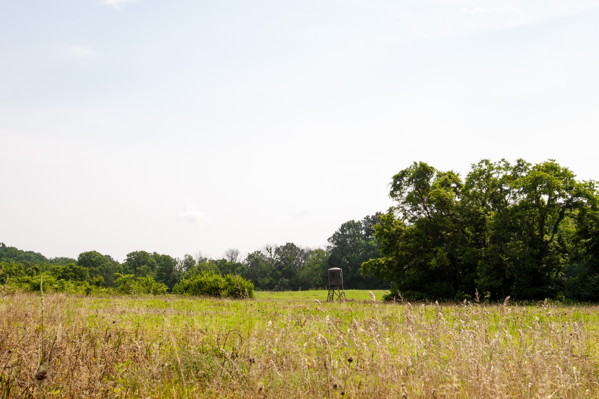 6180 Southeast Tater Peeler Road Lebanon, TN 37090 - Photo 18 of 41