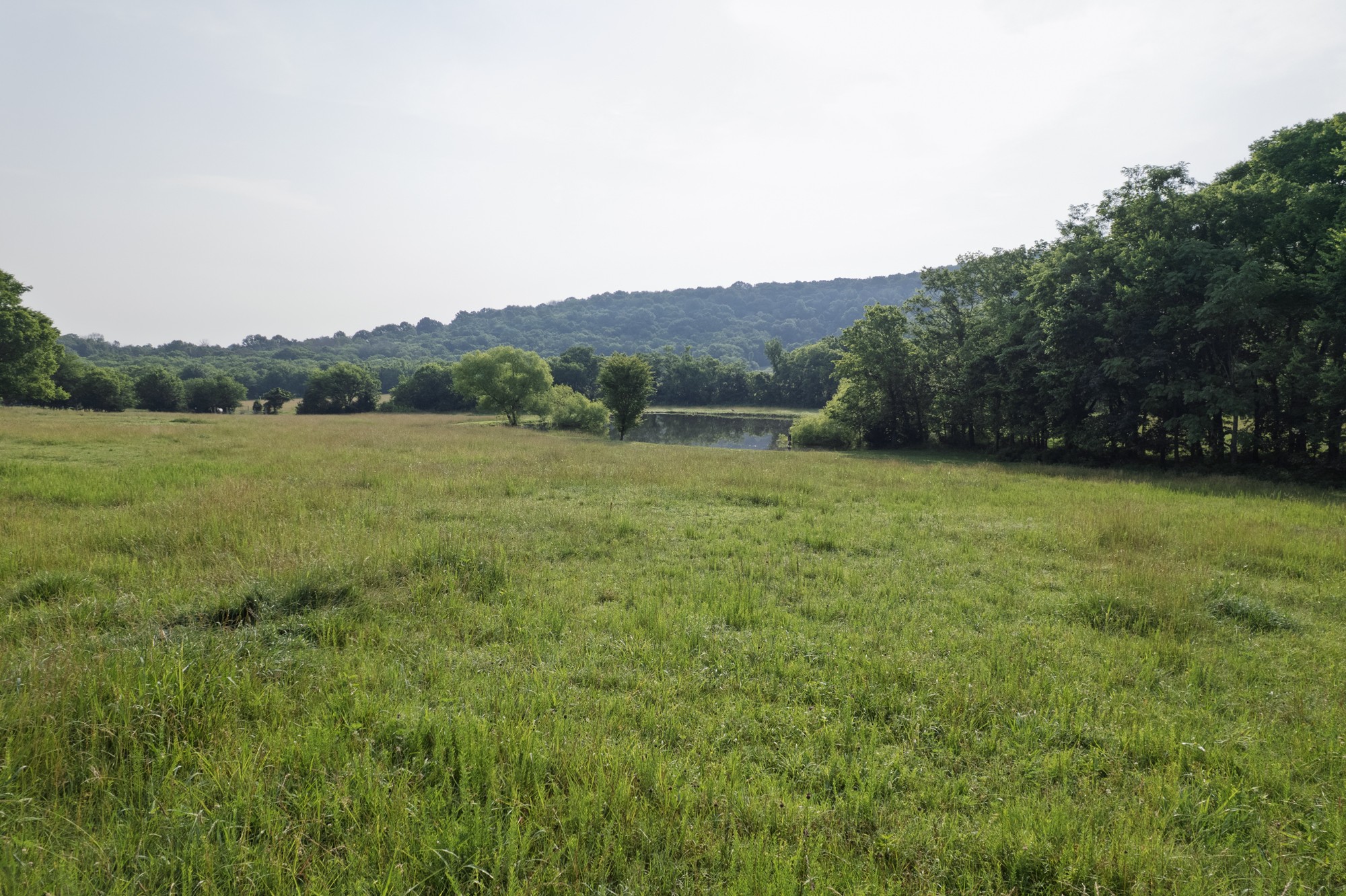 6180 Southeast Tater Peeler Road Lebanon, TN 37090 - Photo 26 of 41