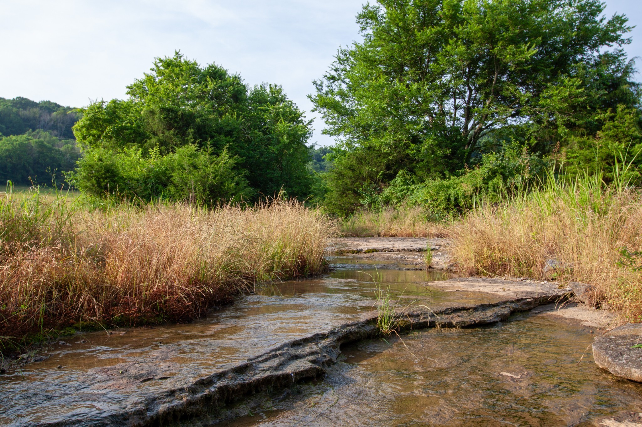 6180 Southeast Tater Peeler Road Lebanon, TN 37090 - Photo 5 of 41 a view of a lake view