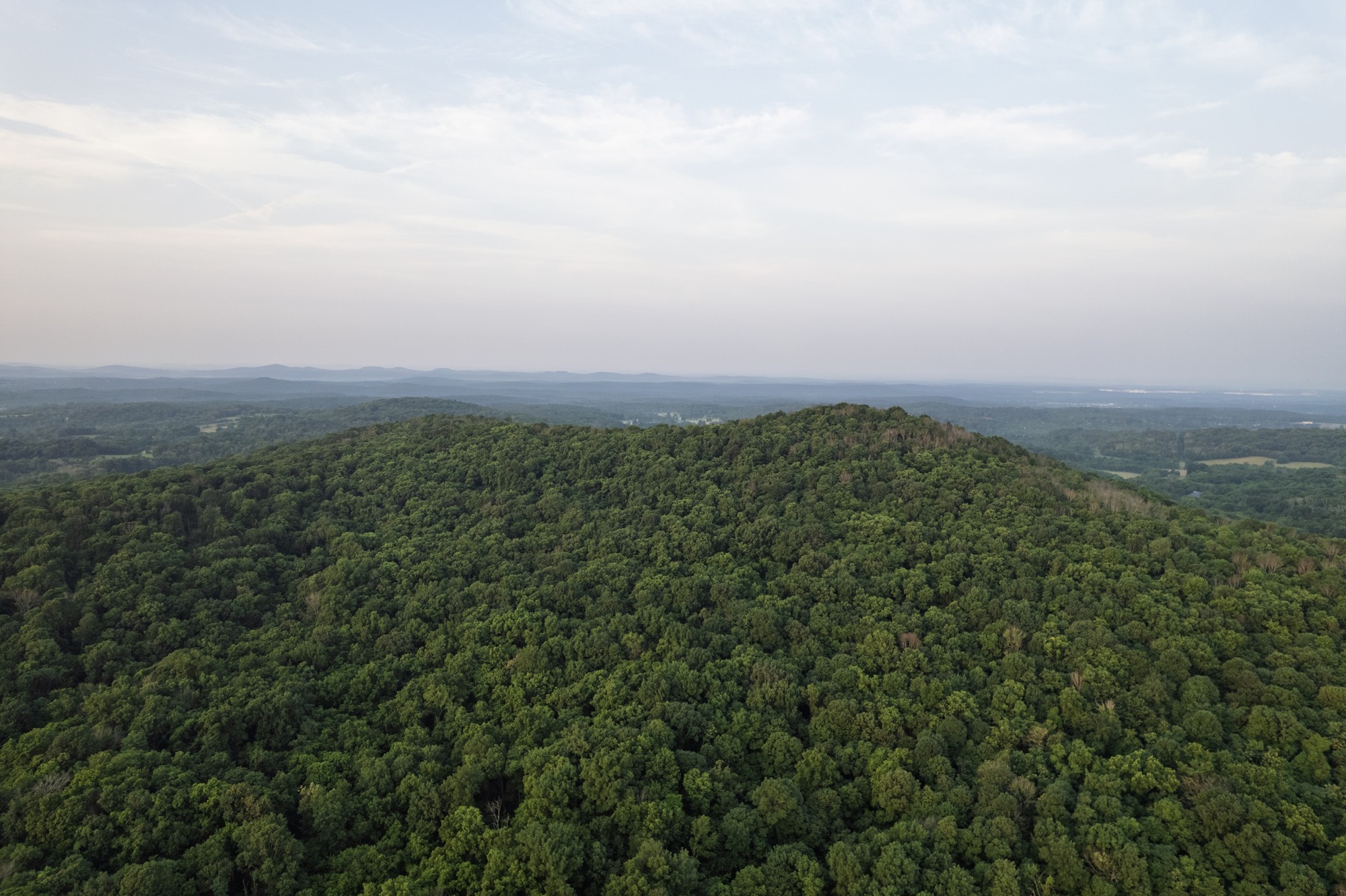 6180 Southeast Tater Peeler Road Lebanon, TN 37090 - Photo 6 of 41