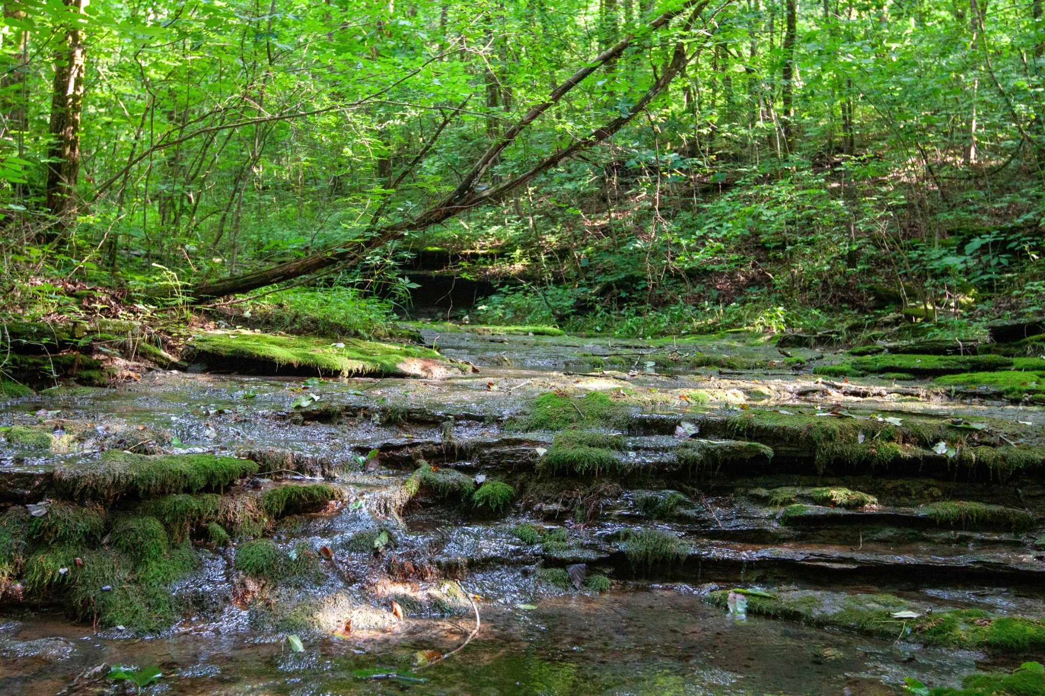 6180 Southeast Tater Peeler Road Lebanon, TN 37090 - Photo 7 of 41