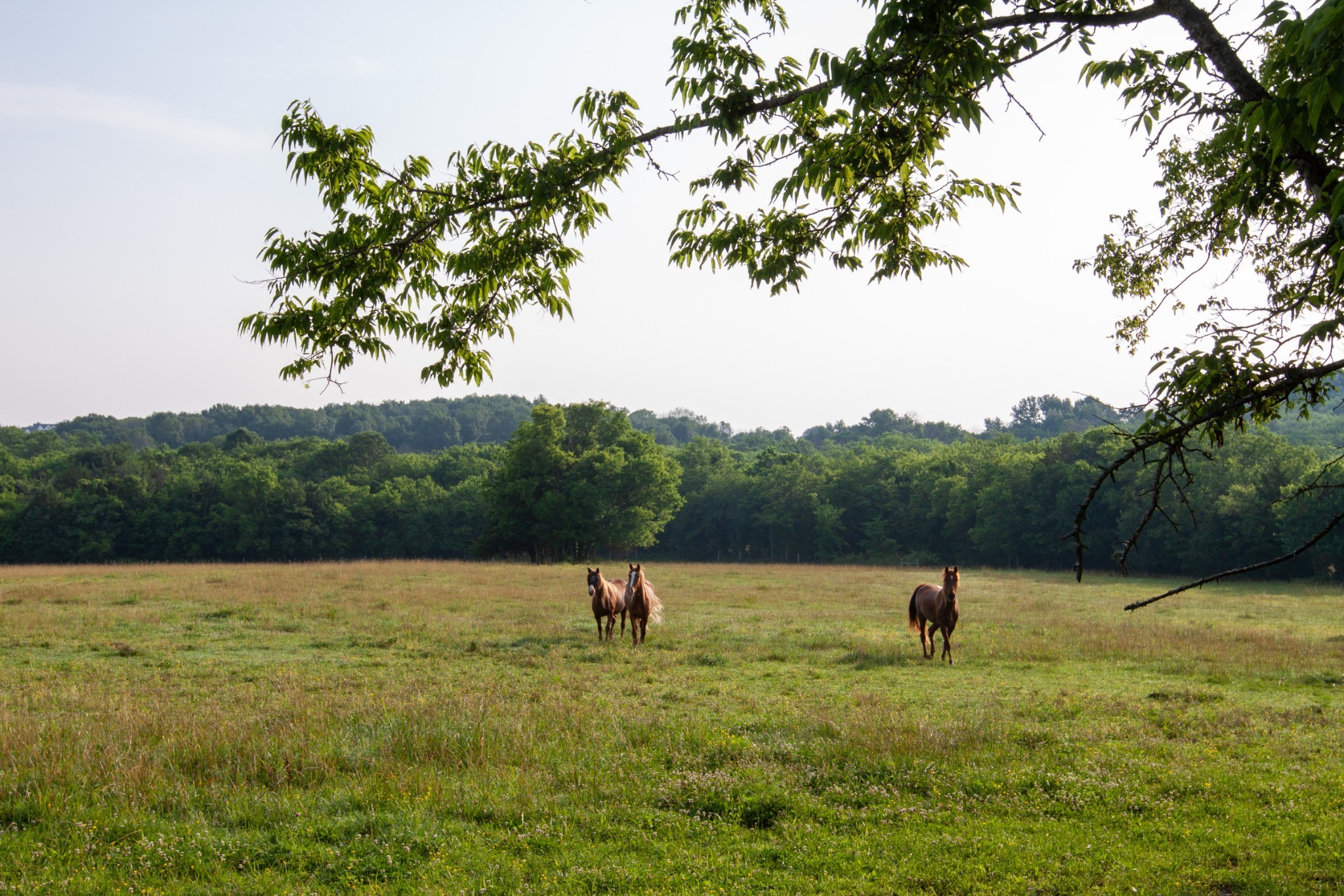 6180 Southeast Tater Peeler Road Lebanon, TN 37090 - Photo 10 of 41 a view of a lake with a park