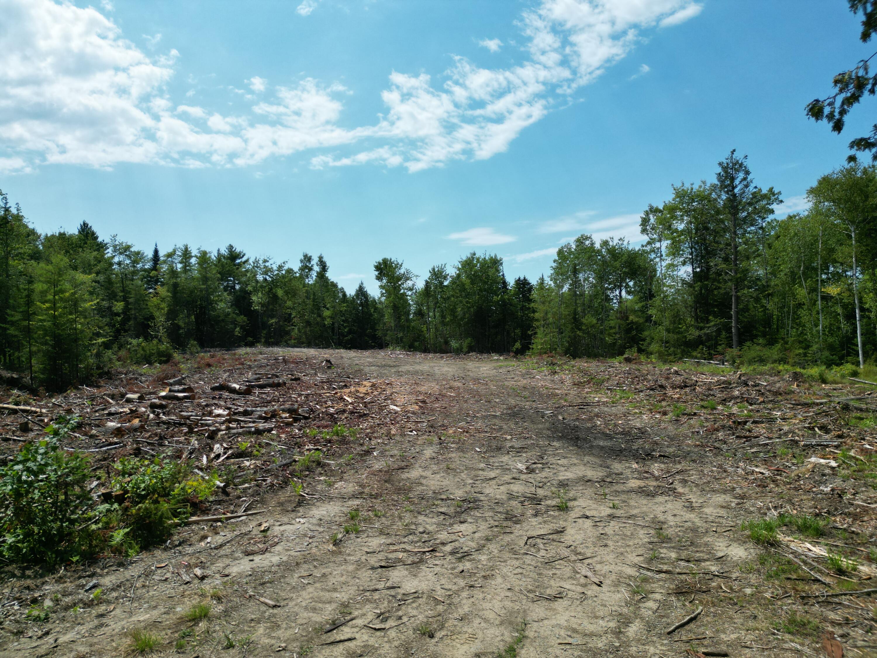 4 Morgan Road Burnham, ME 04922 - Photo 1 of 10 DJI_0956