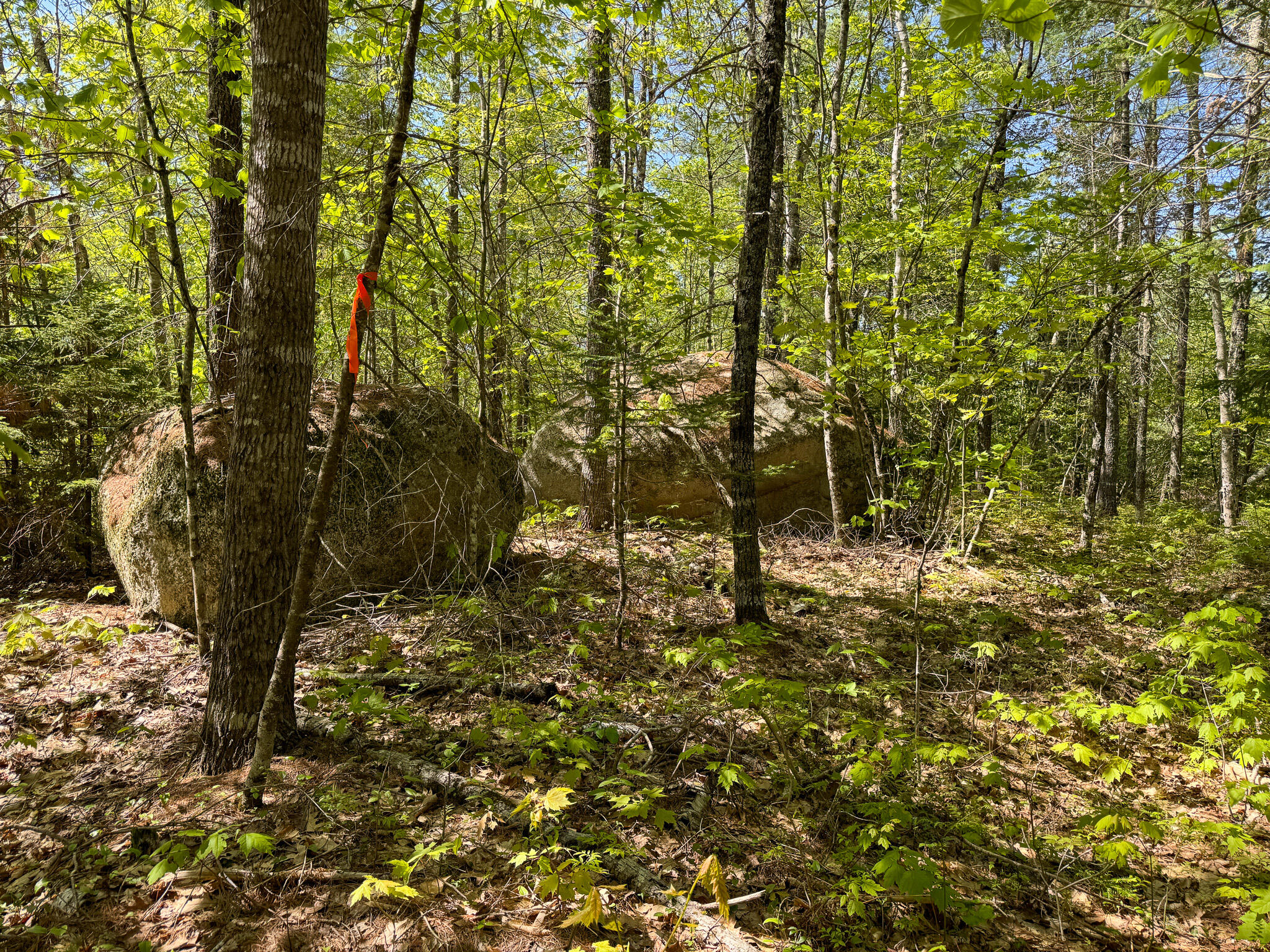 L16 Airline Road Cherryfield, ME 04622 - Photo 24 of 31 IMG_3820