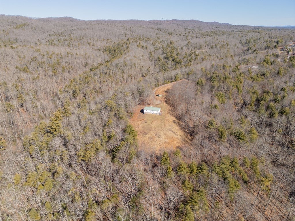 485 Grouse Ridge Road Max Meadows, VA 24360 - Photo 71 of 76 Gallery Image 71