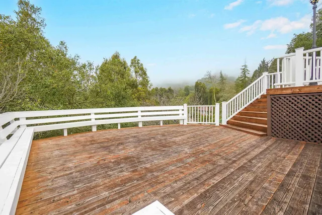 a view of a backyard with plants