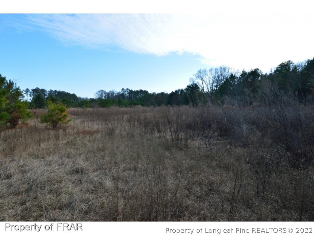 Tbd Edgewood Road Cameron, NC 28326 - Photo 1 of 10 a view of a dry field