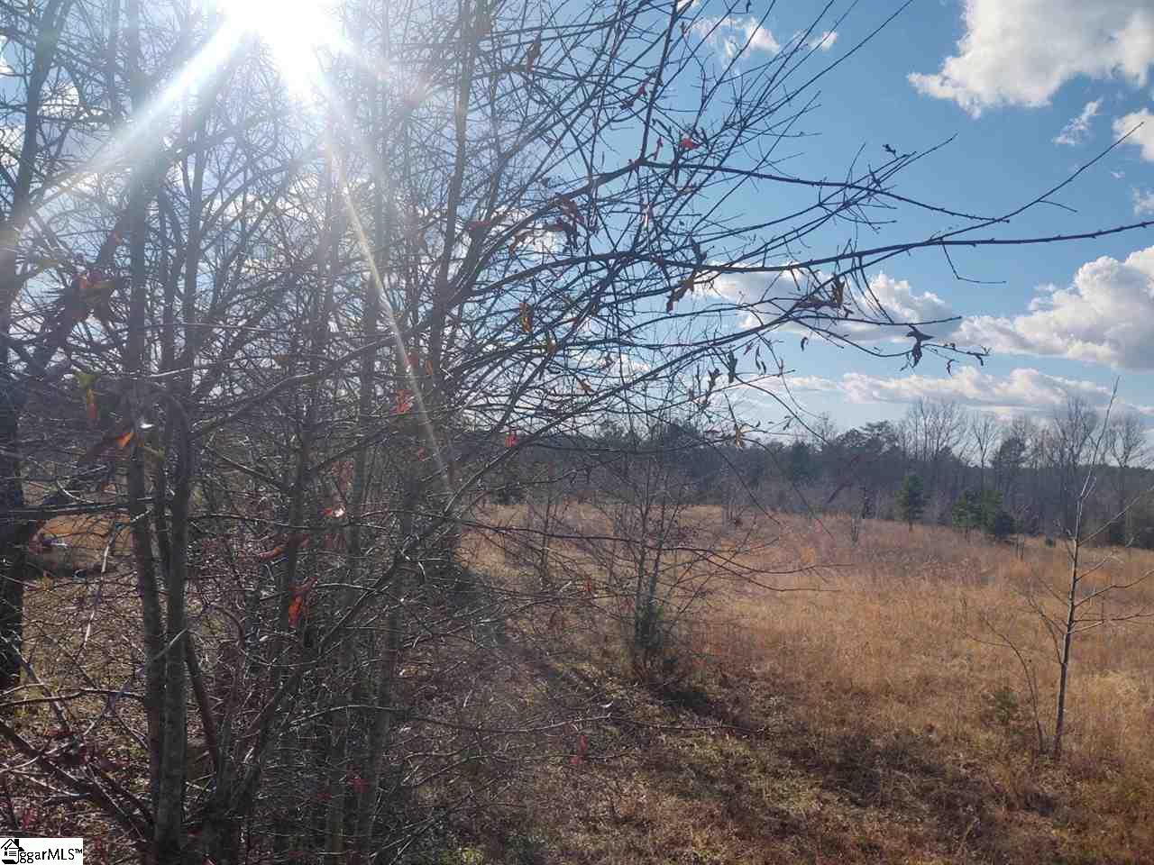 0 Dunklin Bridge Road, Unit PT A Fountain Inn, SC 29644 - Photo 2 of 6
