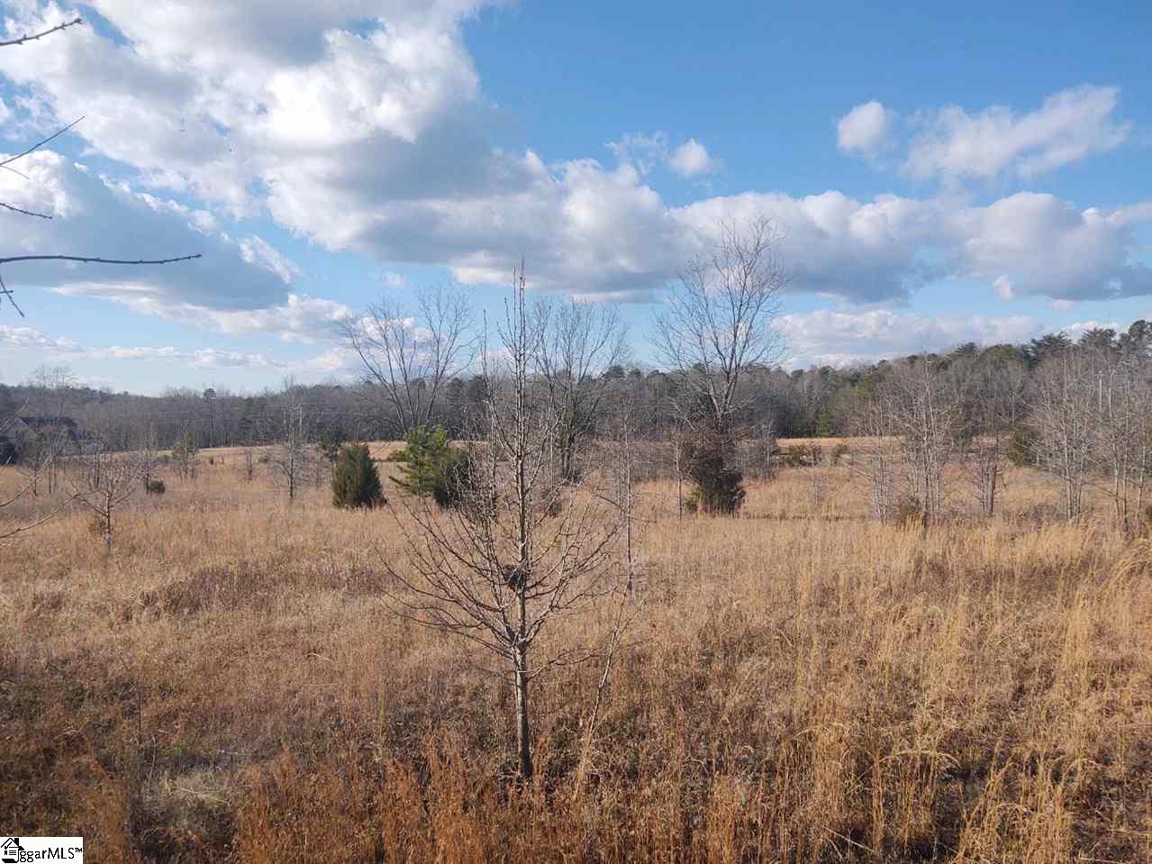 0 Dunklin Bridge Road, Unit PT A Fountain Inn, SC 29644 - Photo 3 of 6
