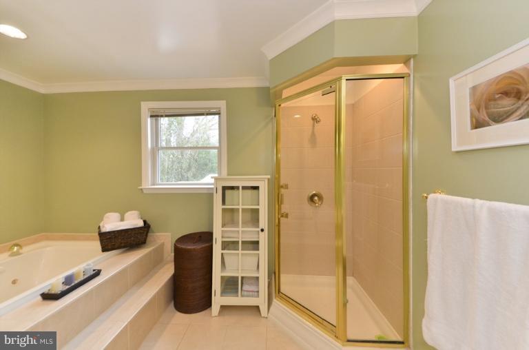 6517 29th Street North Arlington, VA 22213 - Photo 20 of 29 Bath (Master)