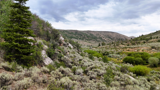 123 Beaver Creek Road Helper, UT 84526 - Photo 21 of 47 Rolling hills covered in sagebrush and diverse foliage