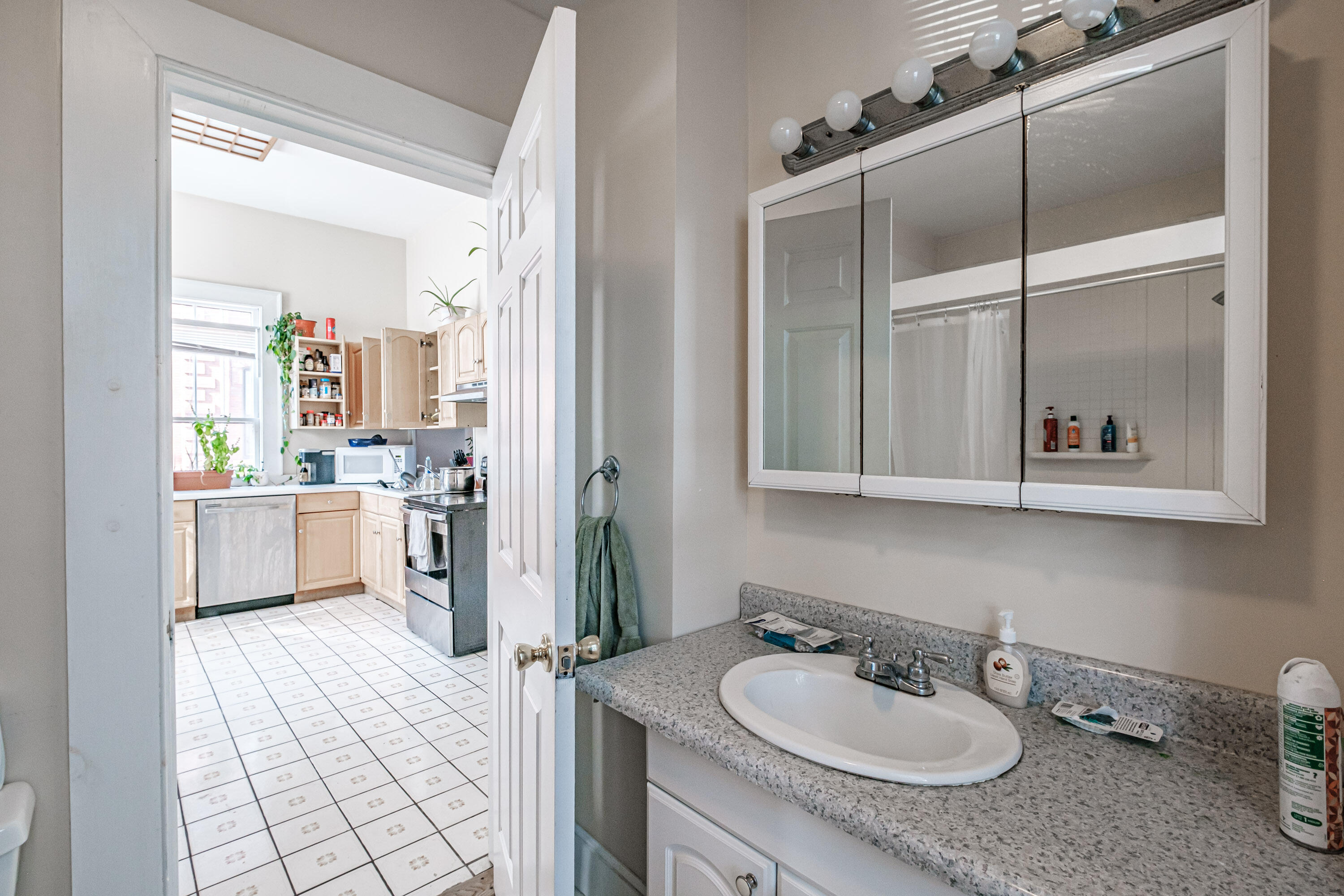 258 Spring Street Portland, ME 04102 - Photo 6 of 13 258 Spring Street