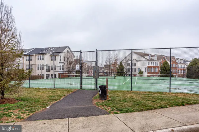 a tennis court view with tall trees