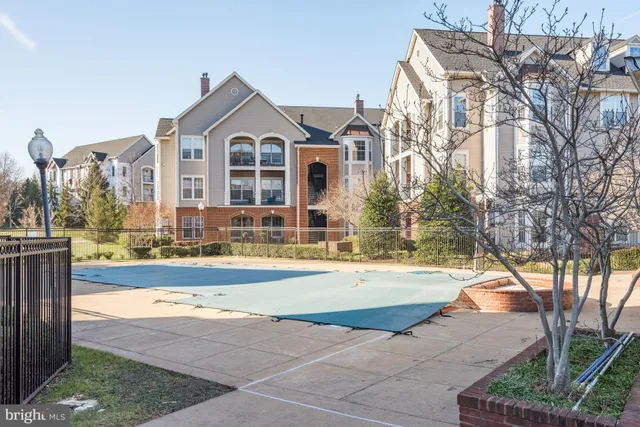 a view of a park with large trees