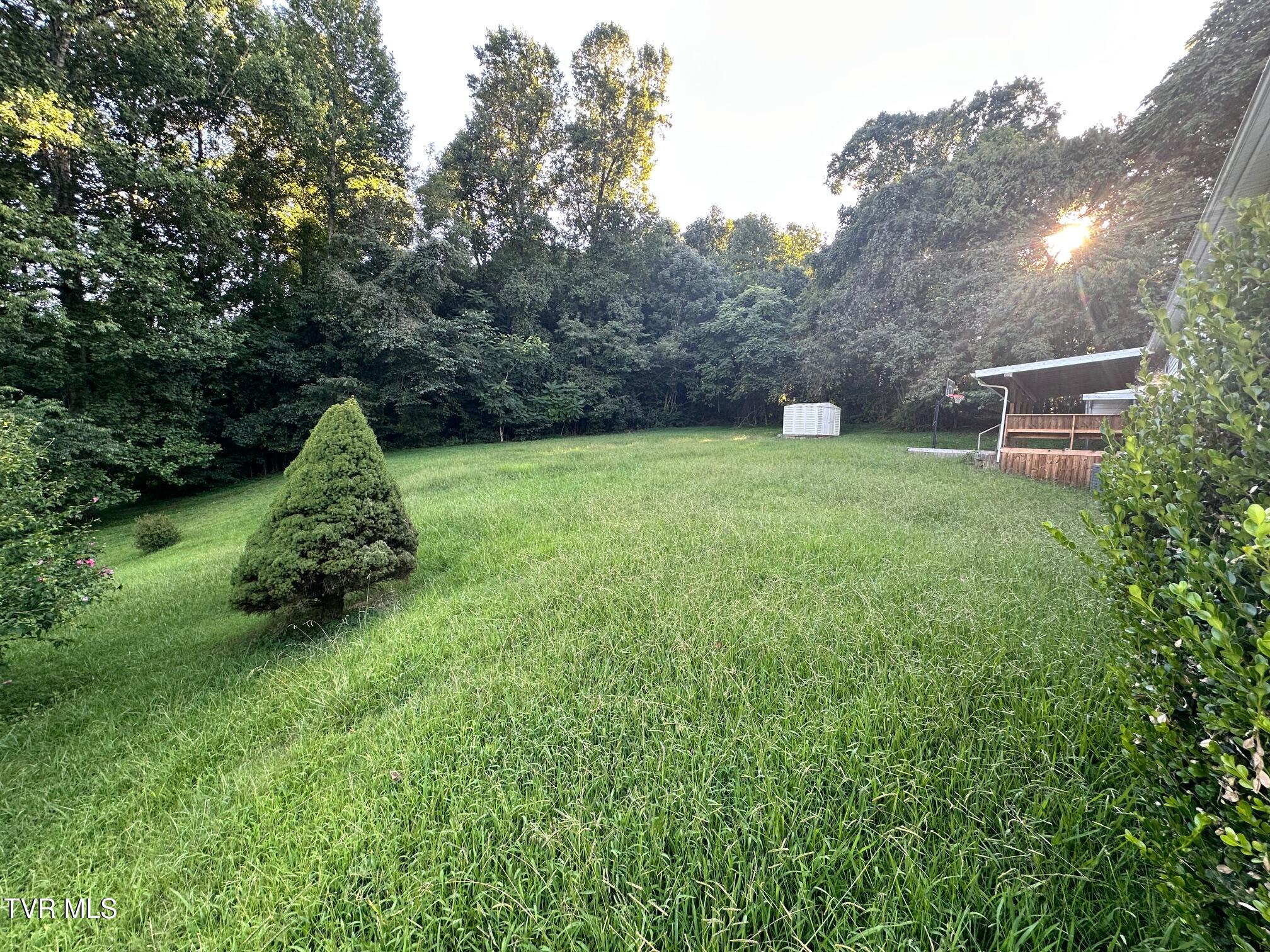 183 Morgan Lane Fall Branch, TN 37656 - Photo 31 of 36 31