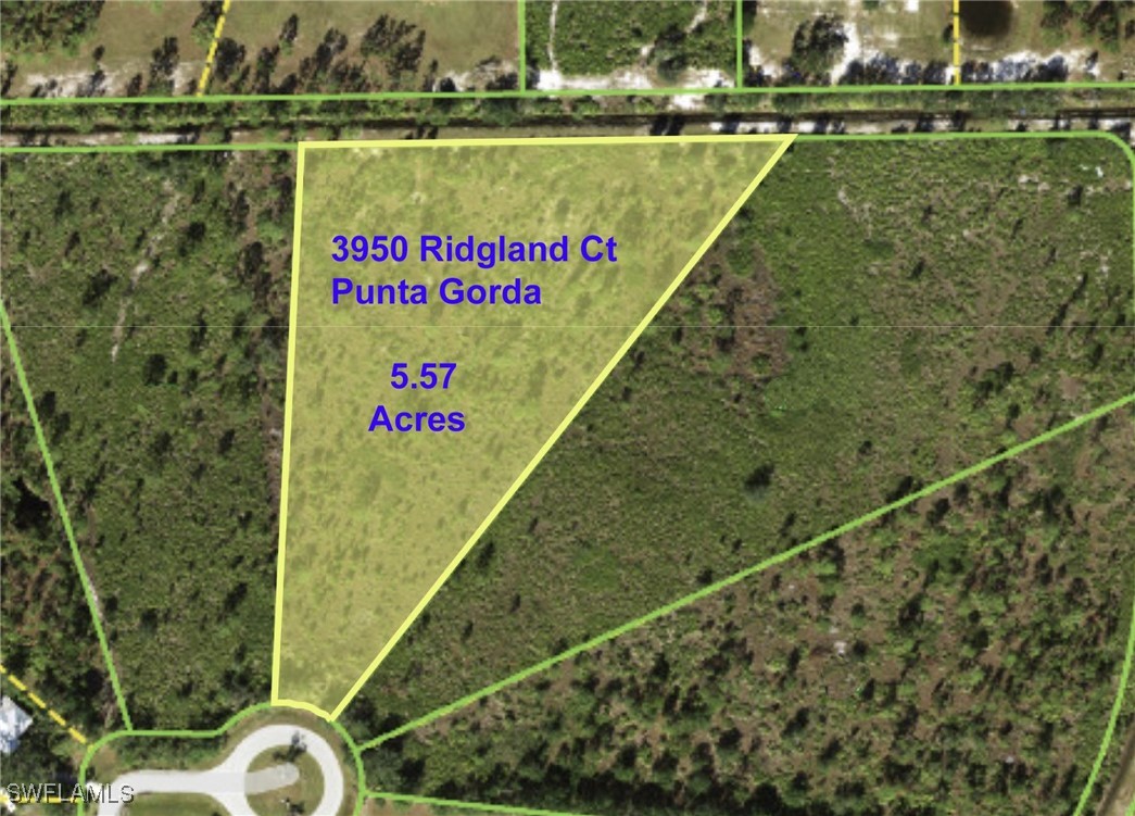 3950 Ridgeland Court Punta Gorda, FL 33982 - Photo 3 of 10 Gallery Image 3