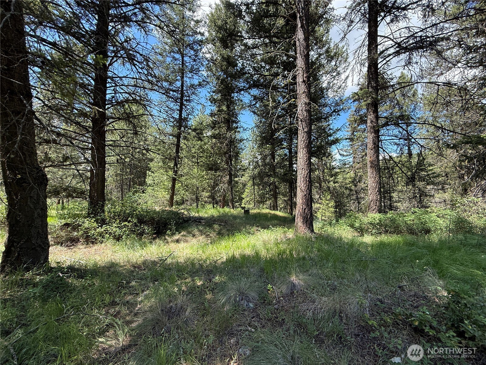 21 Pine Grove Street Republic, WA 99166 - Photo 21 of 21