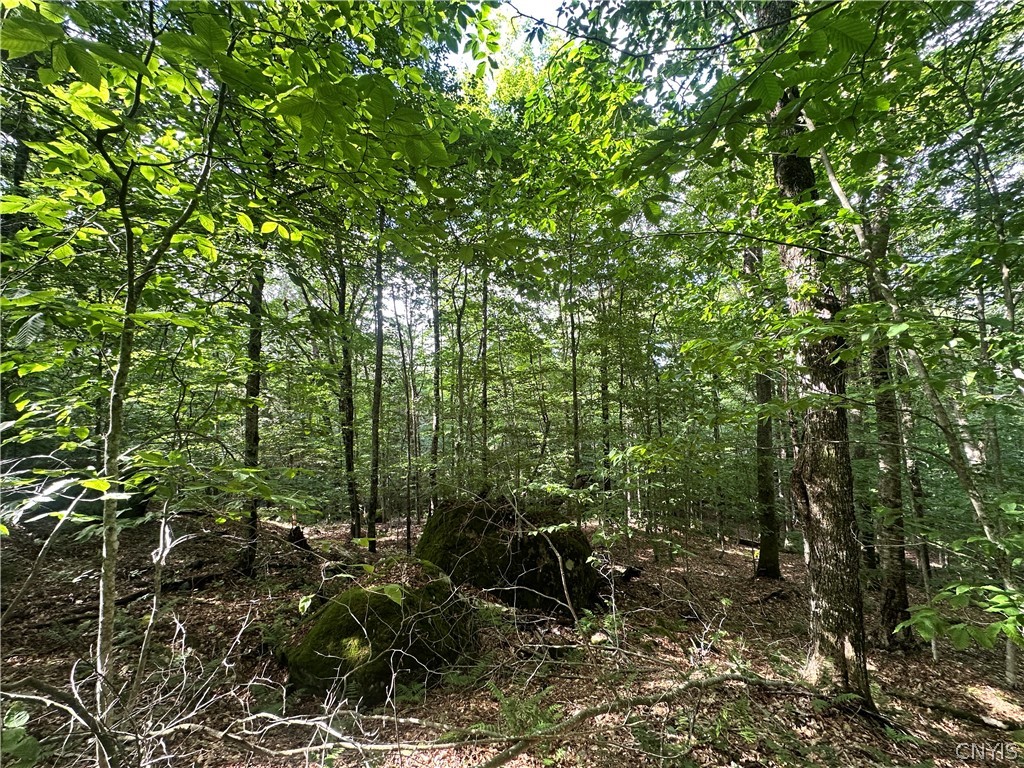 41 South Shore Road Inlet, NY 13360 - Photo 8 of 14 Gallery Image 8