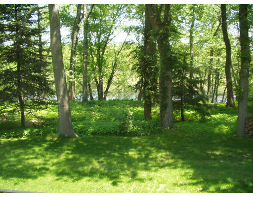 47 Jeffrey Road Wayland, MA 01778 - Photo 2 of 9 a big yard with lots of green space