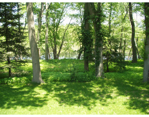 47 Jeffrey Road Wayland, MA 01778 - Photo 8 of 9 a view of lush green forest