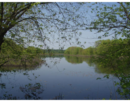 47 Jeffrey Road Wayland, MA 01778 - Photo 9 of 9 a view of a lake from a yard