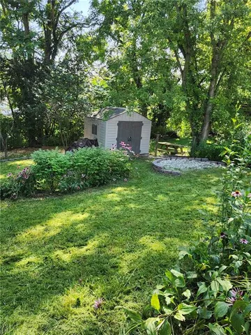 a view of a backyard with large trees