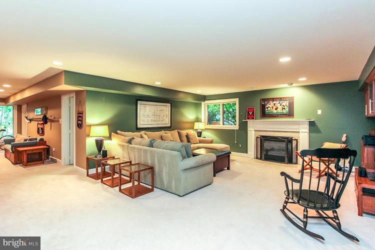 1161 Fieldview Drive Reston, VA 20194 - Photo 24 of 30 Basement