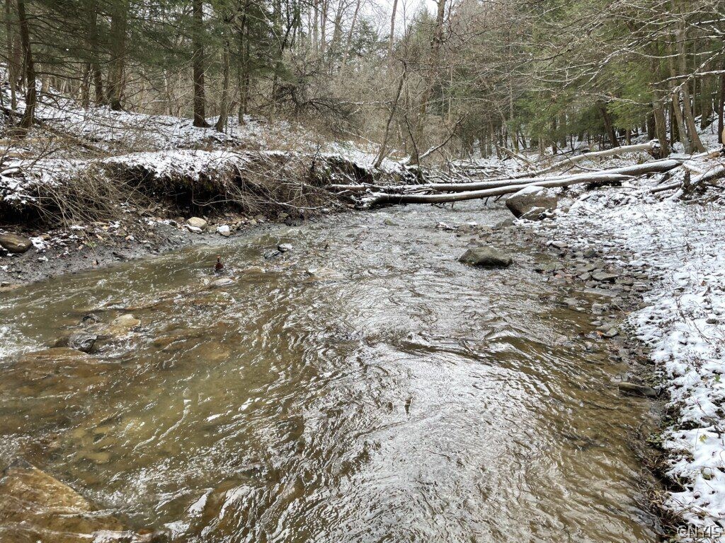 0 Groth Road Springville, NY 14141 - Photo 1 of 1