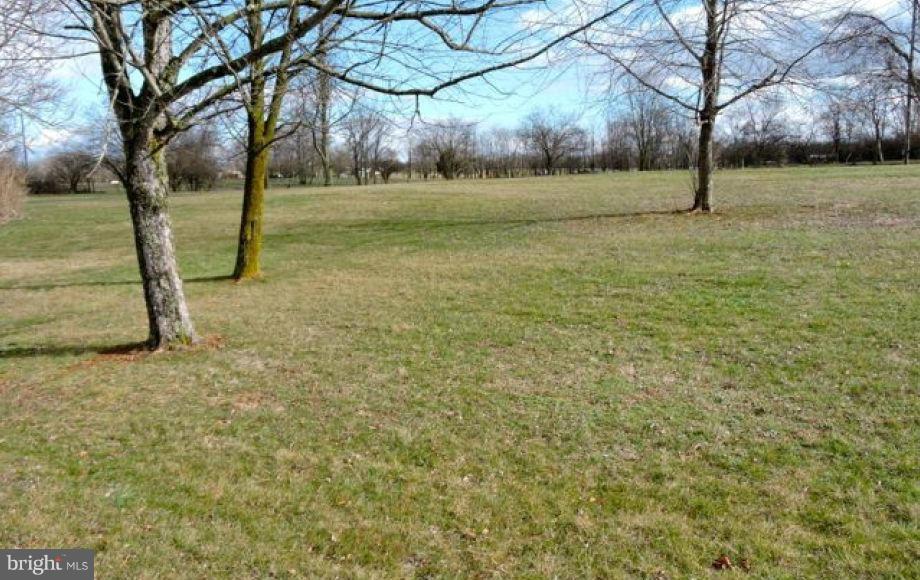 428 Russell Road Berryville, VA 22611 - Photo 3 of 4 Exterior (Rear)