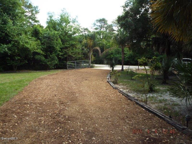 3900 Grant Line Road Mims, FL 32754 - Photo 5 of 36 Driveway Exiting.jpg