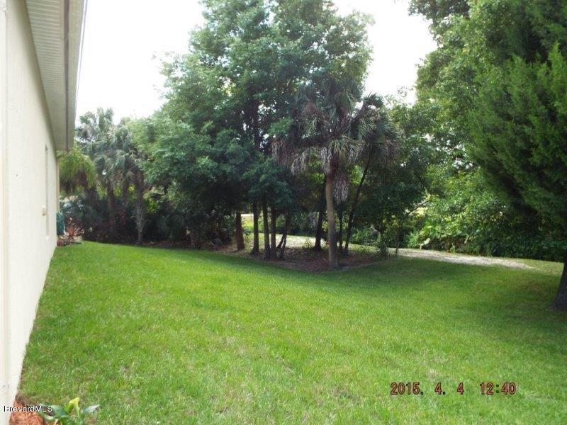 3900 Grant Line Road Mims, FL 32754 - Photo 7 of 36 Westside frm North view.jpg