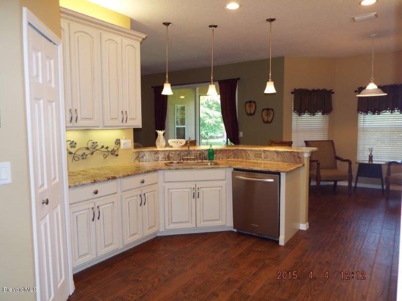 3900 Grant Line Road Mims, FL 32754 - Photo 10 of 36 Kitchen Sink View.jpg