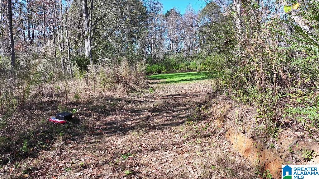 200 Kelly Creek Road Odenville, AL 35120 - Photo 45 of 47