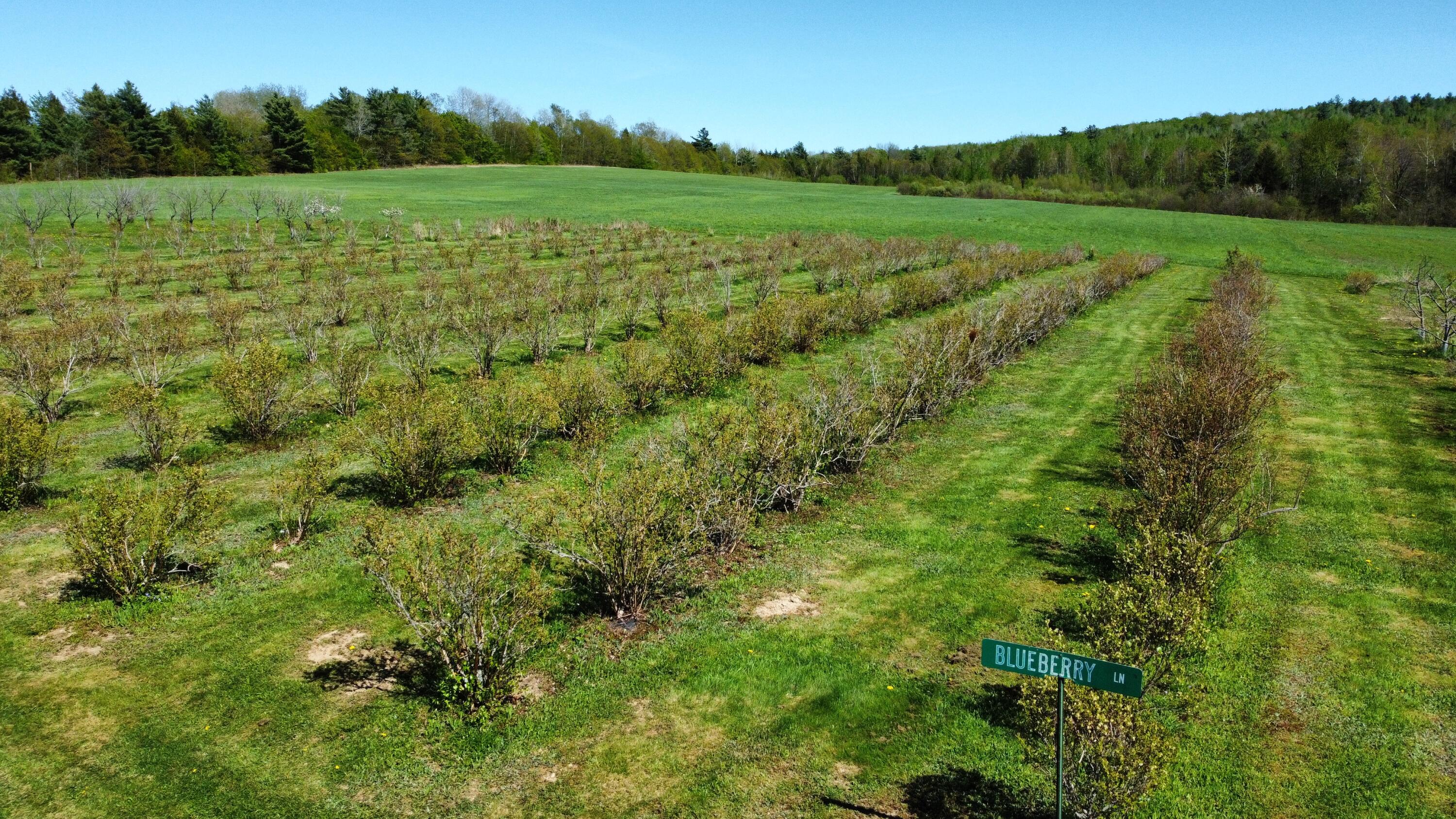 147 Old Military Road Winn, ME 04495 - Photo 3 of 93 Drone Photo