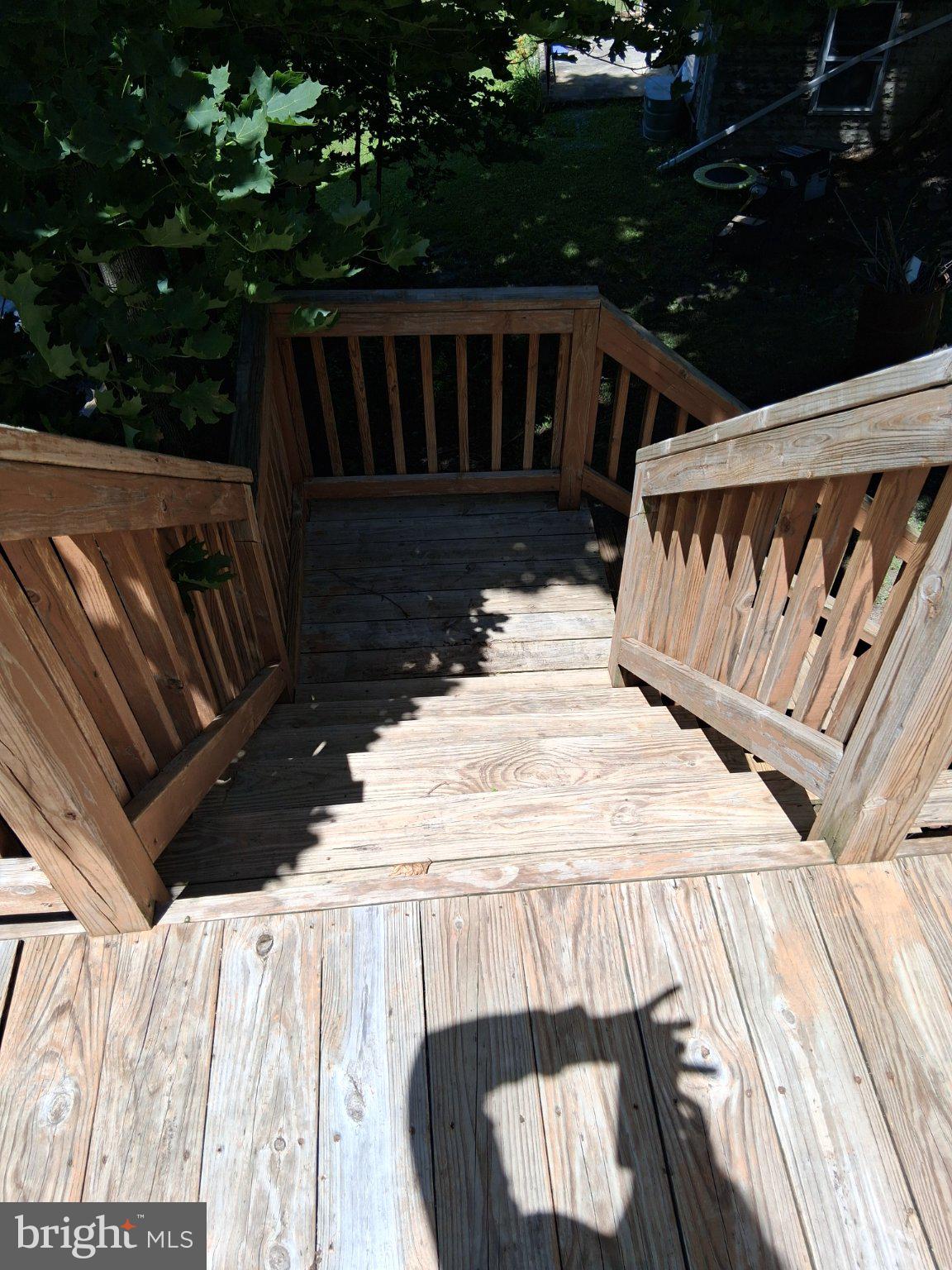 265 View Street Johnstown, PA 15902 - Photo 27 of 66 Sunlit Steps to Outdoor Serenity