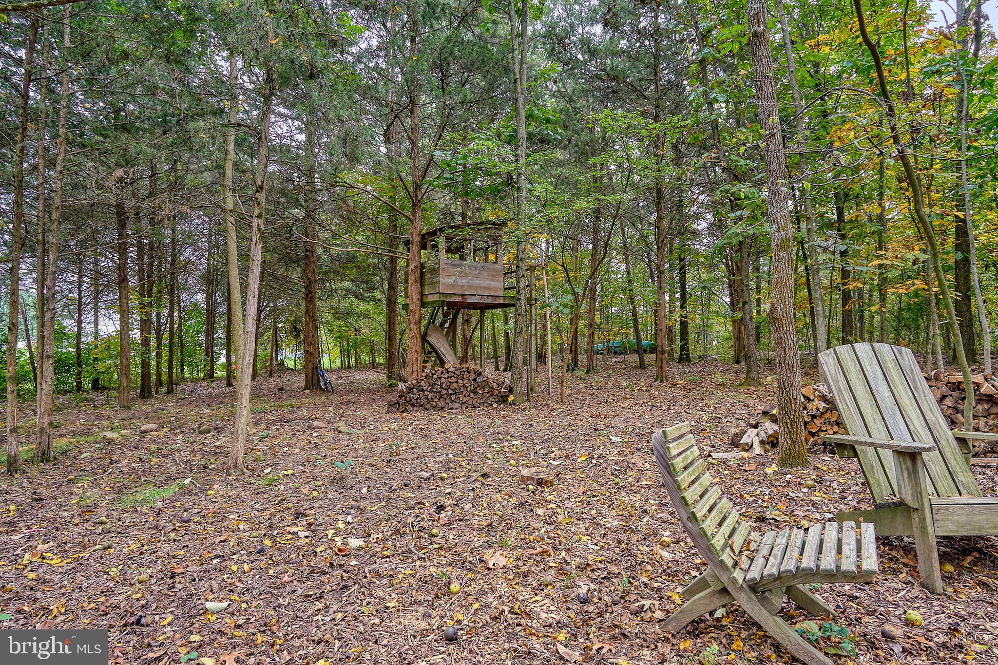 939 Boyds School Road Gettysburg, PA 17325 - Photo 42 of 43 Gallery Image 42
