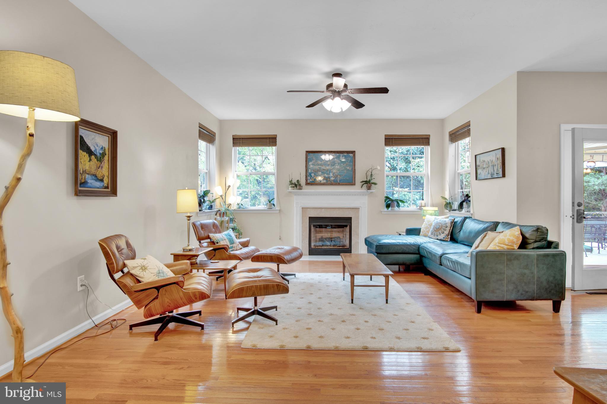 Gallery Image 7