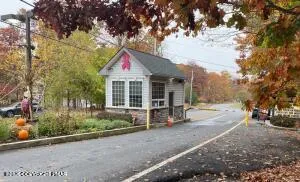 a view of a swimming pool with lawn chairs and plants