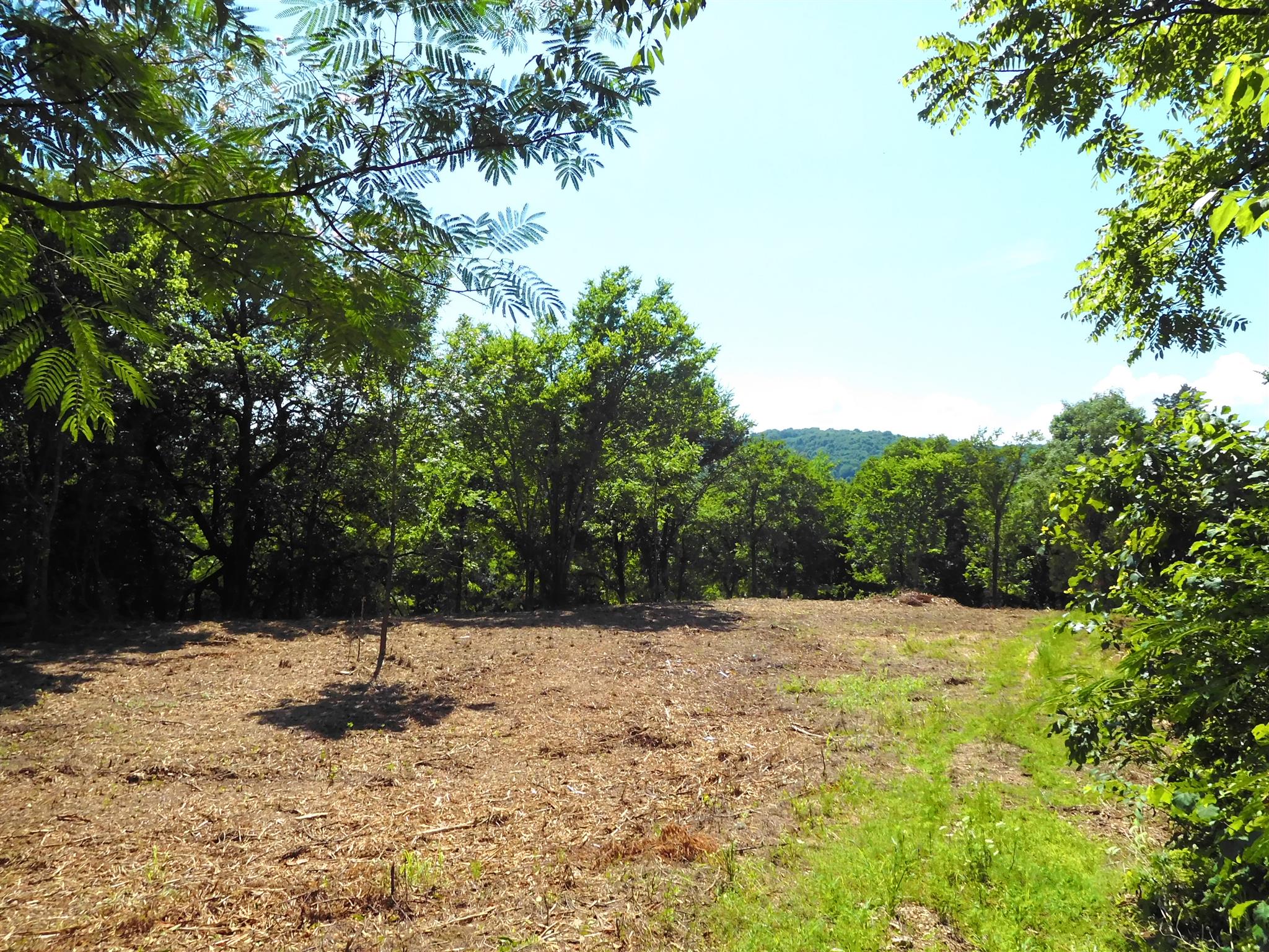 1208 Old Temperance Hall Road Liberty, TN 37095 - Photo 11 of 19 This ideal building site would offer a westerly sunset view from the back porch. There is a fantastic view of the TN hills too!