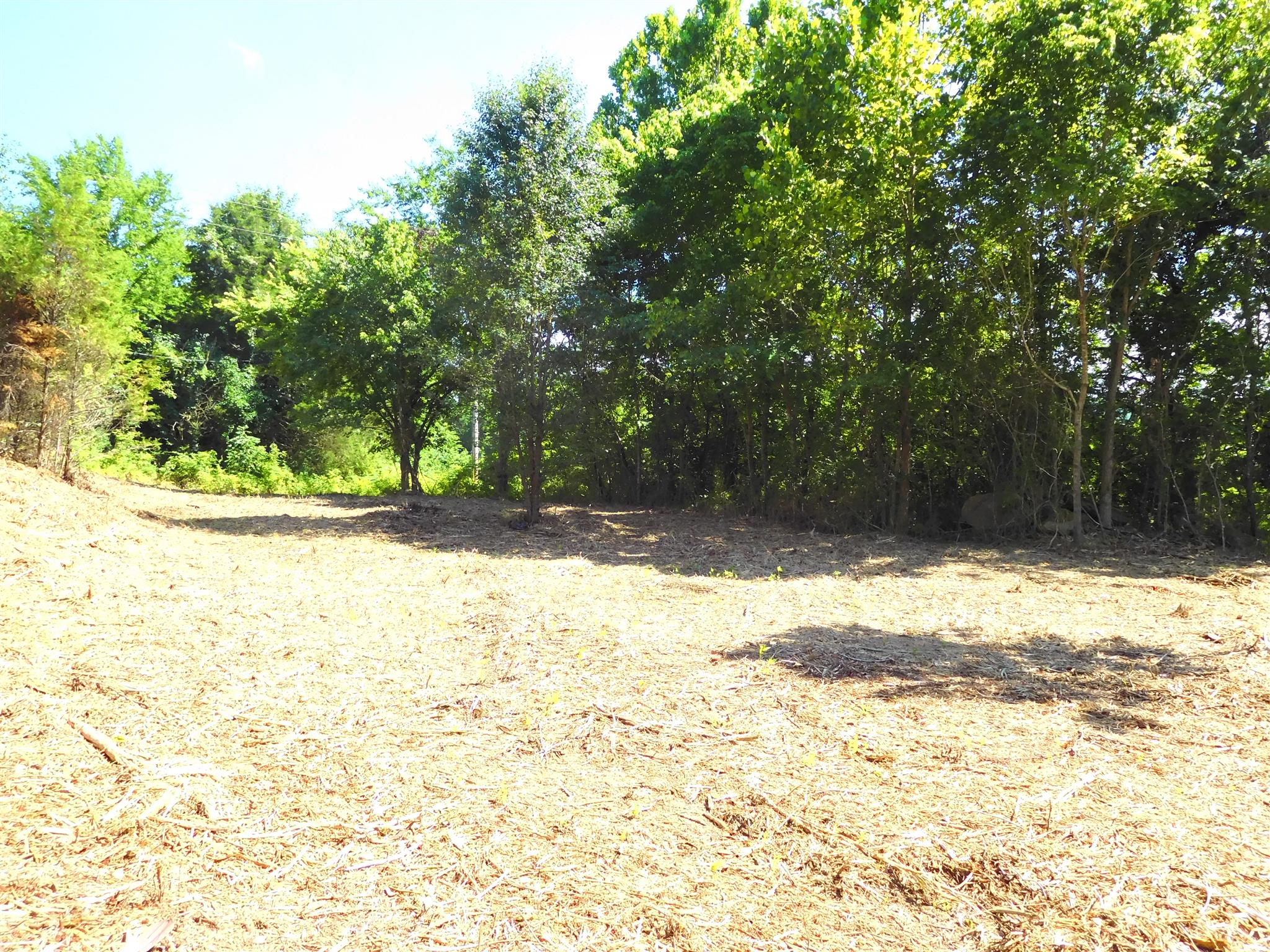 1208 Old Temperance Hall Road Liberty, TN 37095 - Photo 14 of 19 Recently cleared and ready for your outdoor adventure.