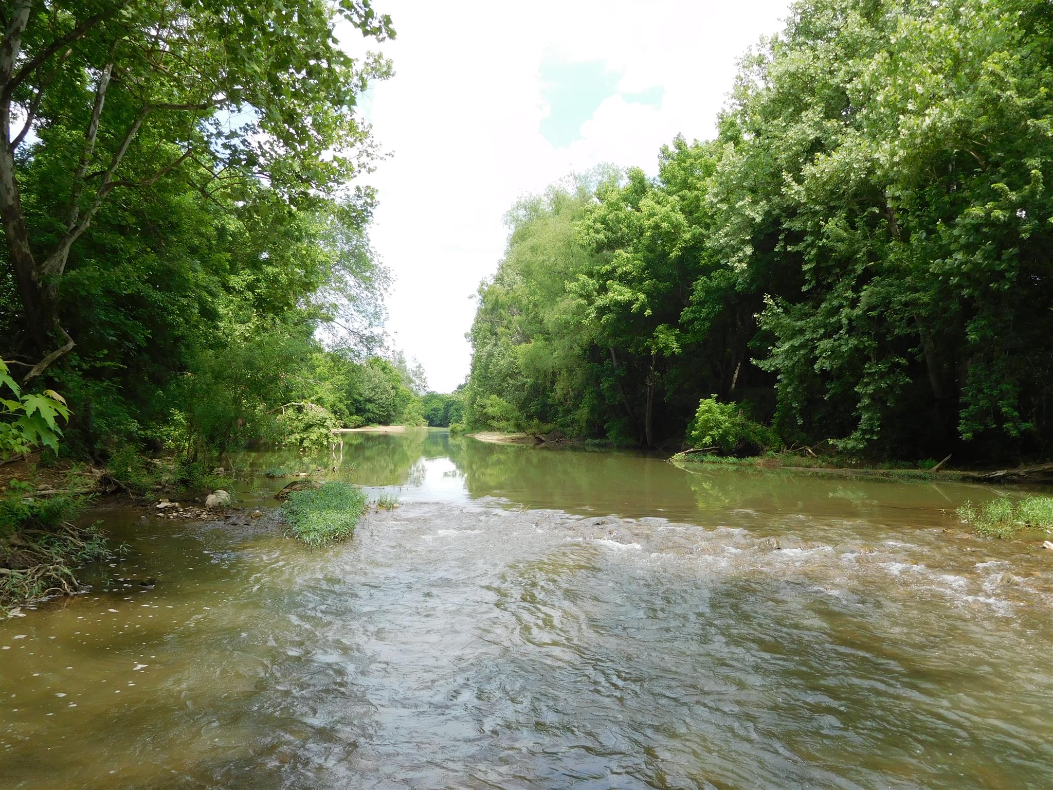 1208 Old Temperance Hall Road Liberty, TN 37095 - Photo 8 of 19 Listen to the sounds of the flowing creek.