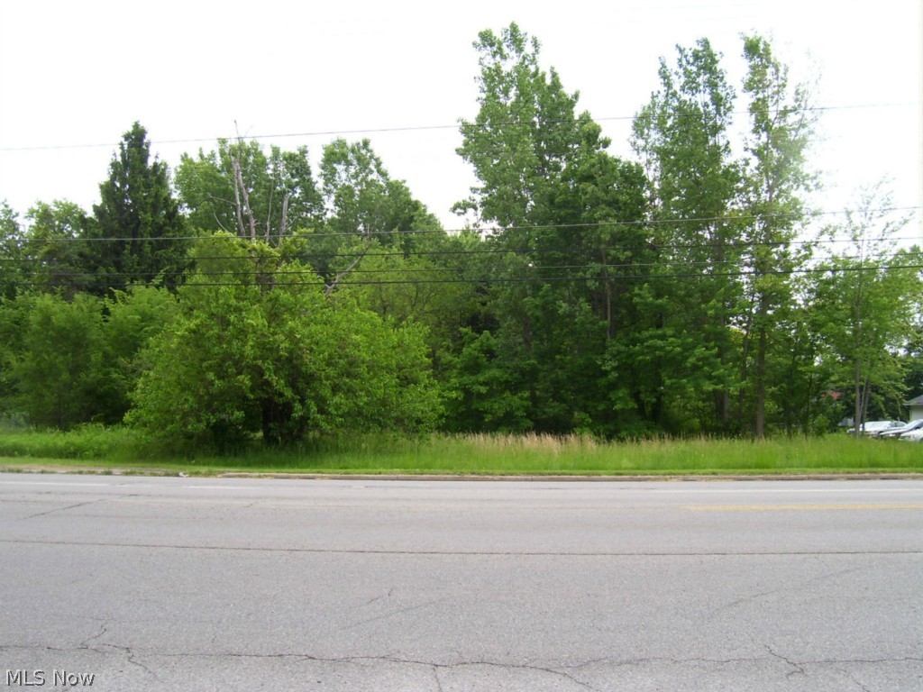 North Ridge Road Lorain, OH 44055 - Photo 4 of 5 Mostly wooded, this is the frontage on North Ridge Road of the subject property.