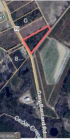 $60,000 | 0 Gary Barnard Road, Unit LOT #8, Cobbtown, GA 30420