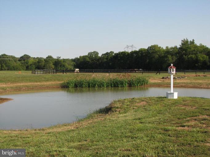 2173 Laws Ford Road Catlett, VA 20119 - Photo 12 of 29 pond