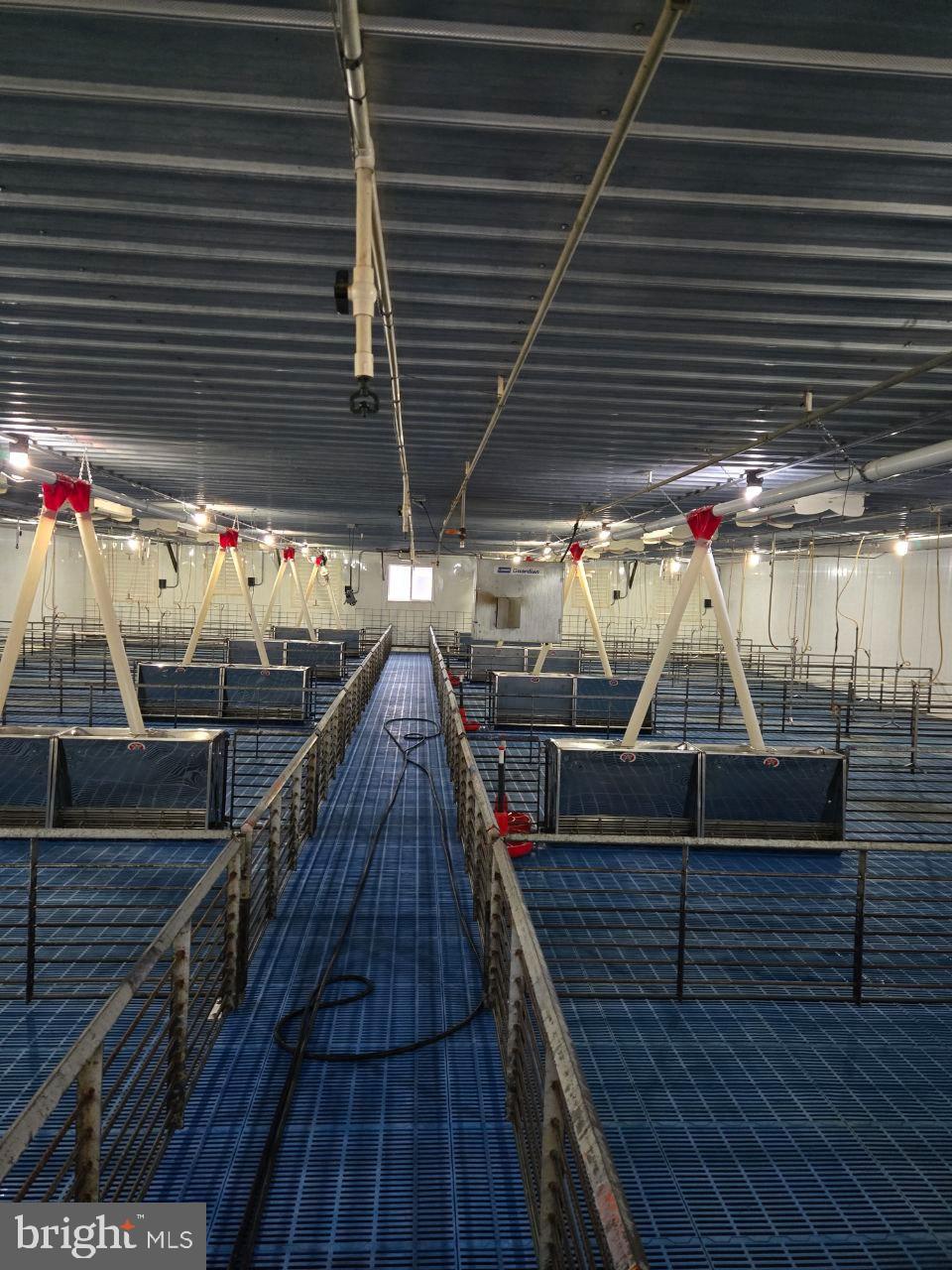7372 Chaneysville Road Clearville, PA 15535 - Photo 87 of 146 Spacious indoor facility for livestock care.