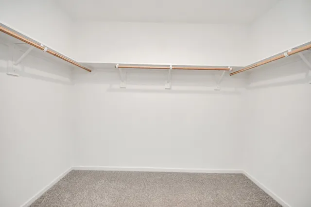 a view of backyard with green space